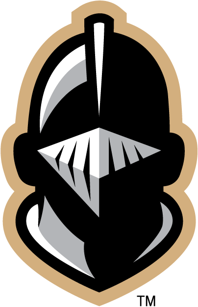 Army Black Knights 2000-2014 Alternate Logo v4 DIY iron on transfer (heat transfer)